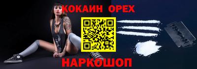 крисы Краснознаменск