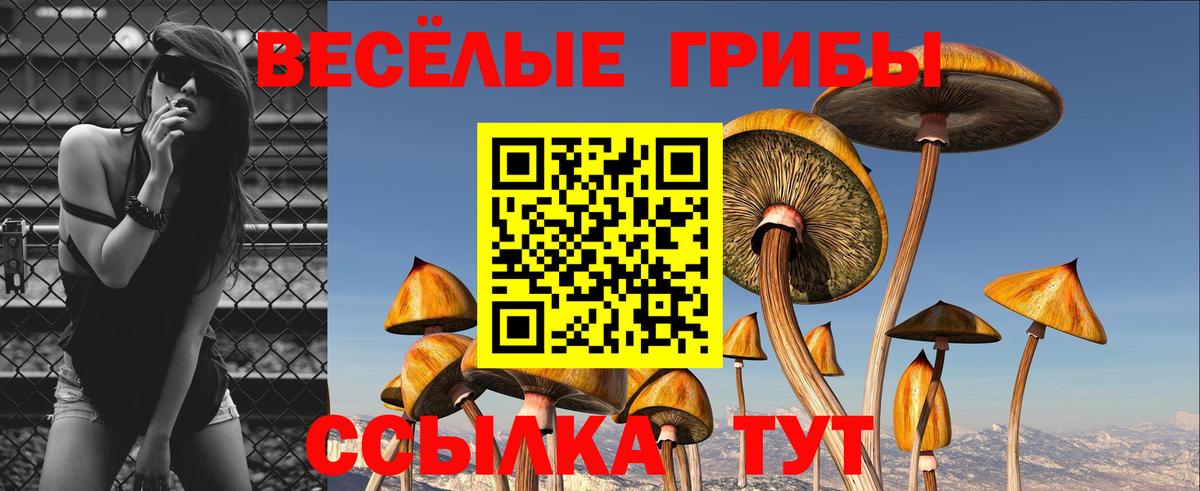 Псилоцибиновые грибы ЛСД  Галлюциногенные грибы мухоморы  Вход с VPN  Кириши 